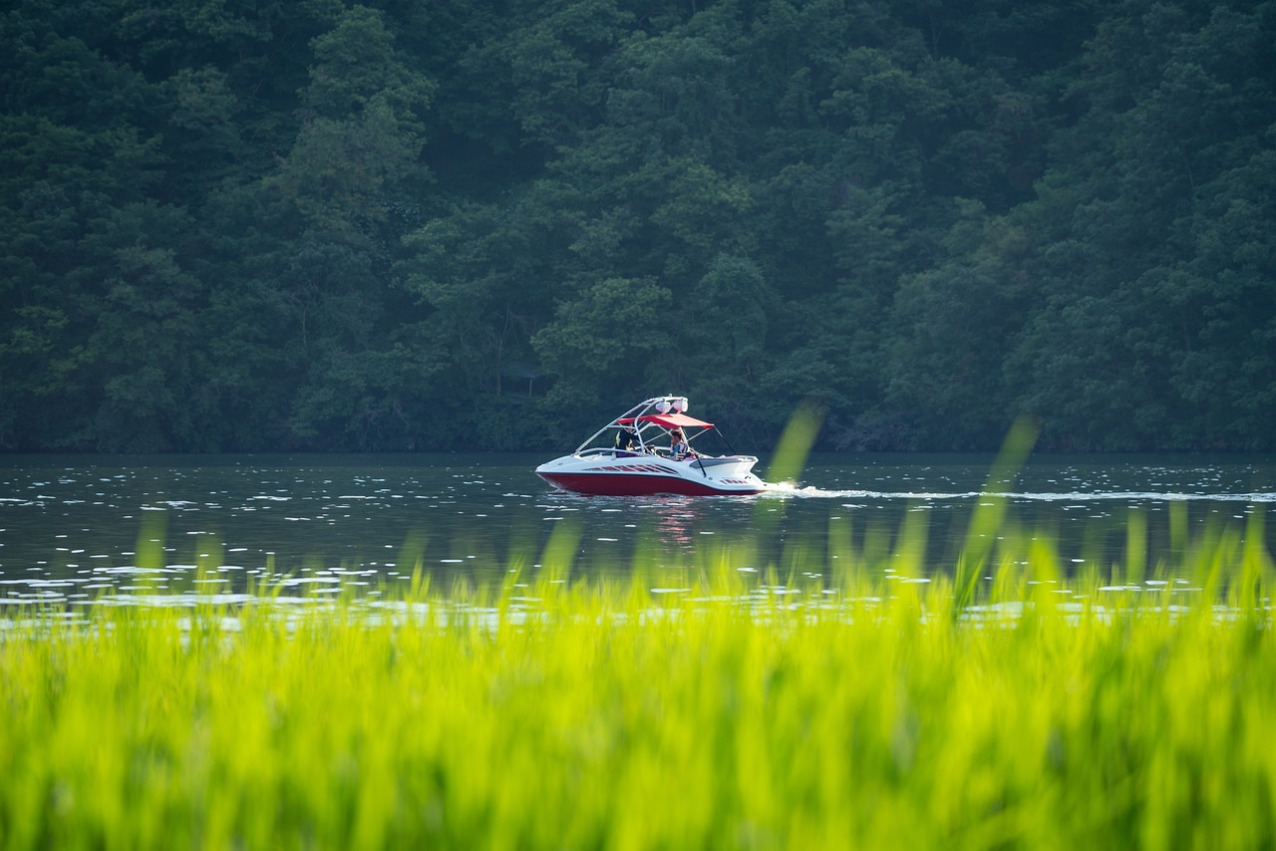 river life green