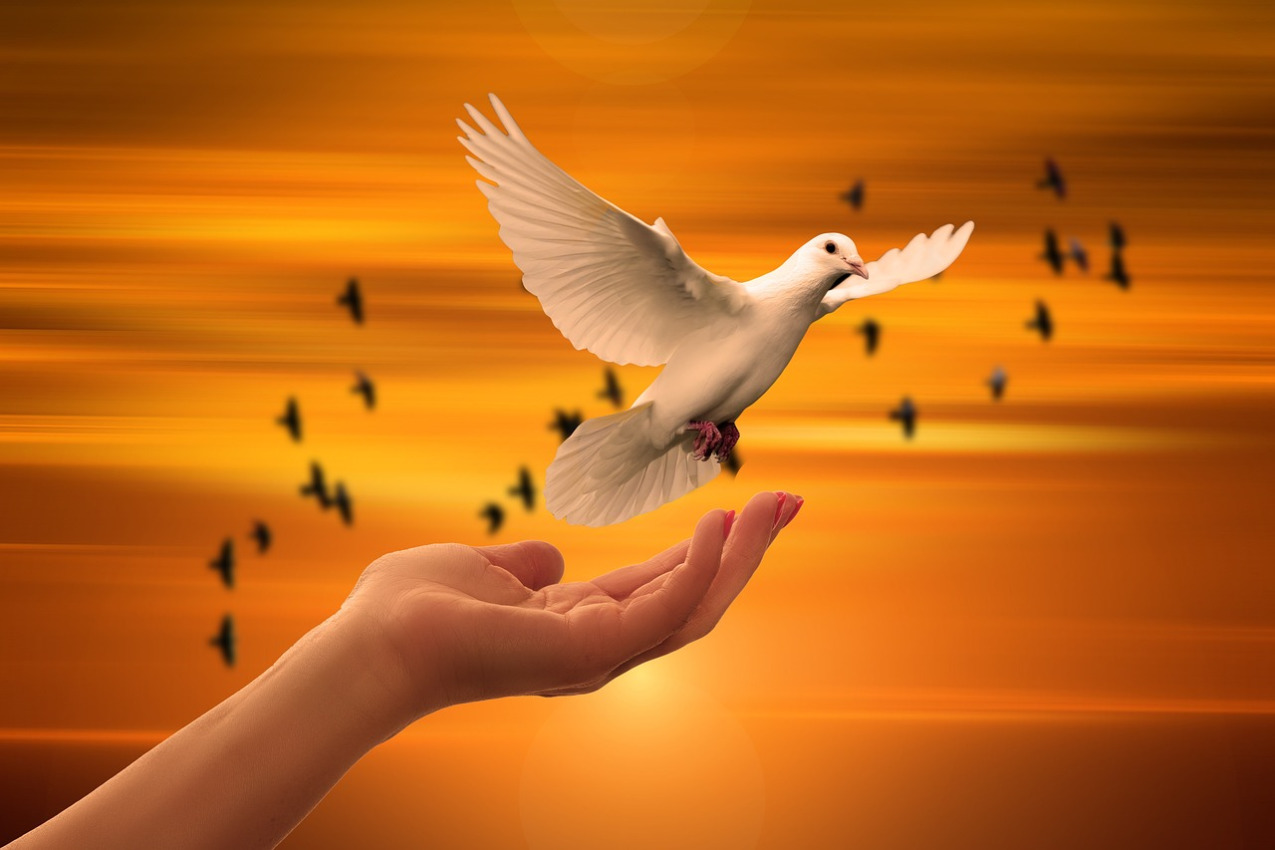 dove light hope